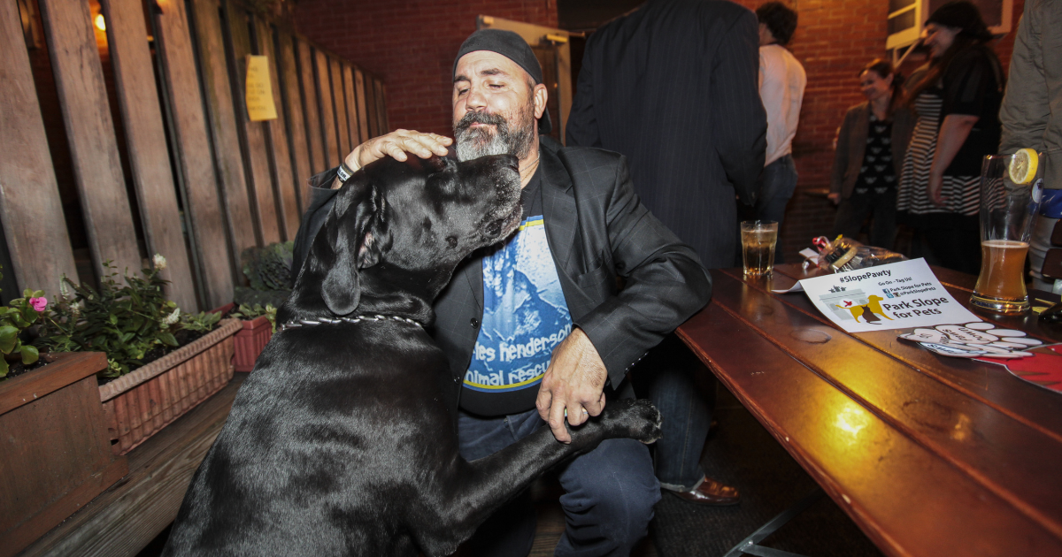 dog in a bar with a man