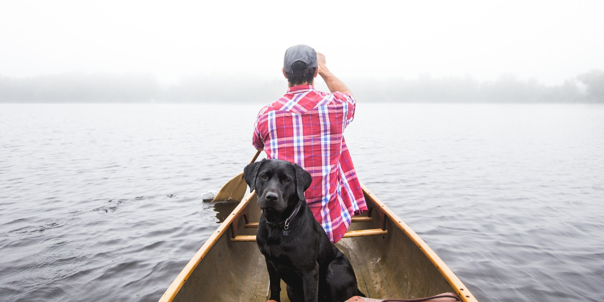 black lab dog in a canoe with a man