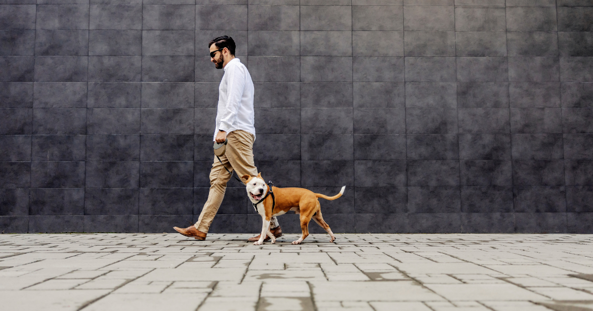man walking dog