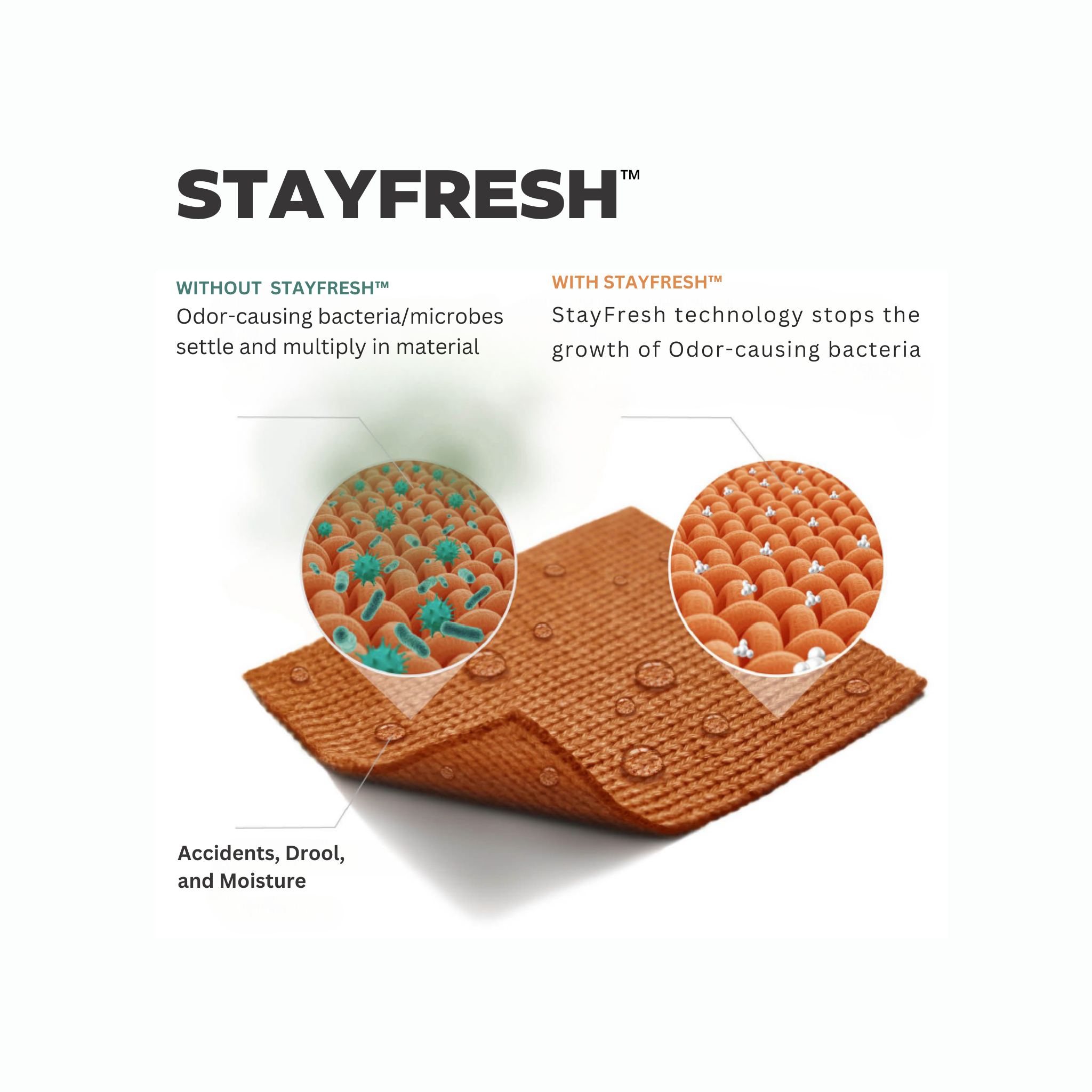 StayFresh technology