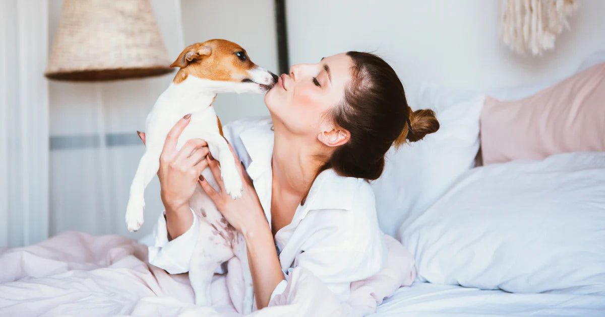 Woman and dog in a bed with StayFresh Pet-friendly bedding