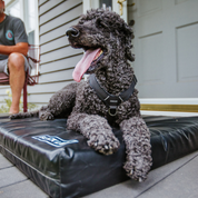 All-weather water proof dog bed
