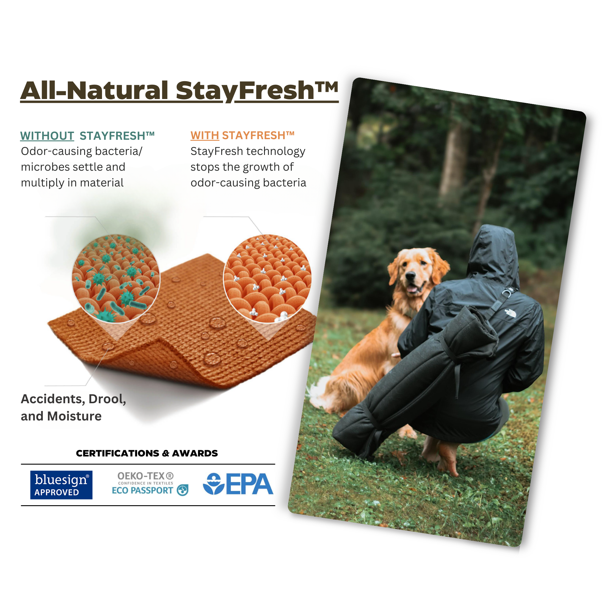 Trailblazer - Tough Travel Dog Bed
