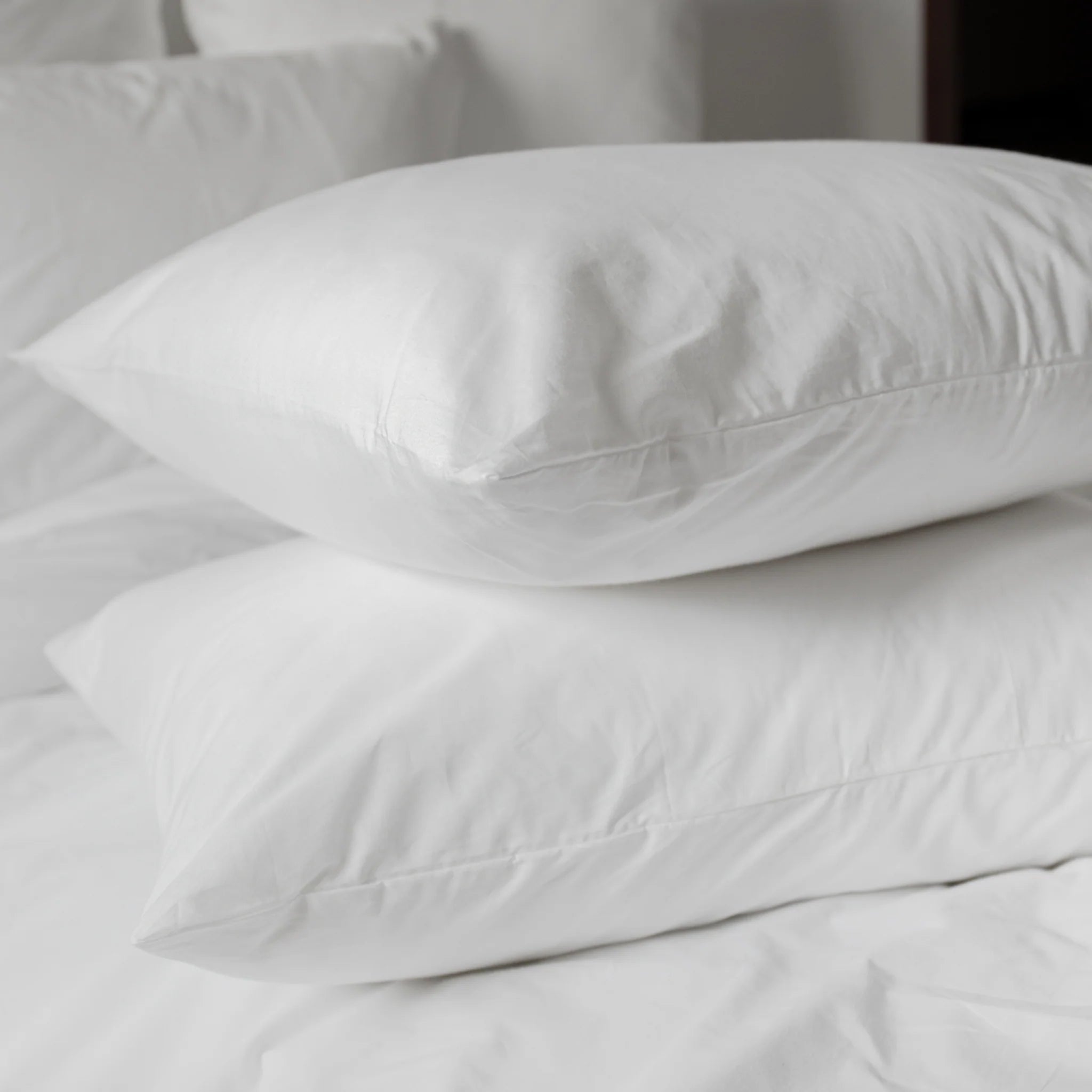 Pet Friendly Pillow Case Home Collection Black Lab Brands