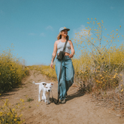 crossbody bag hands-free leash