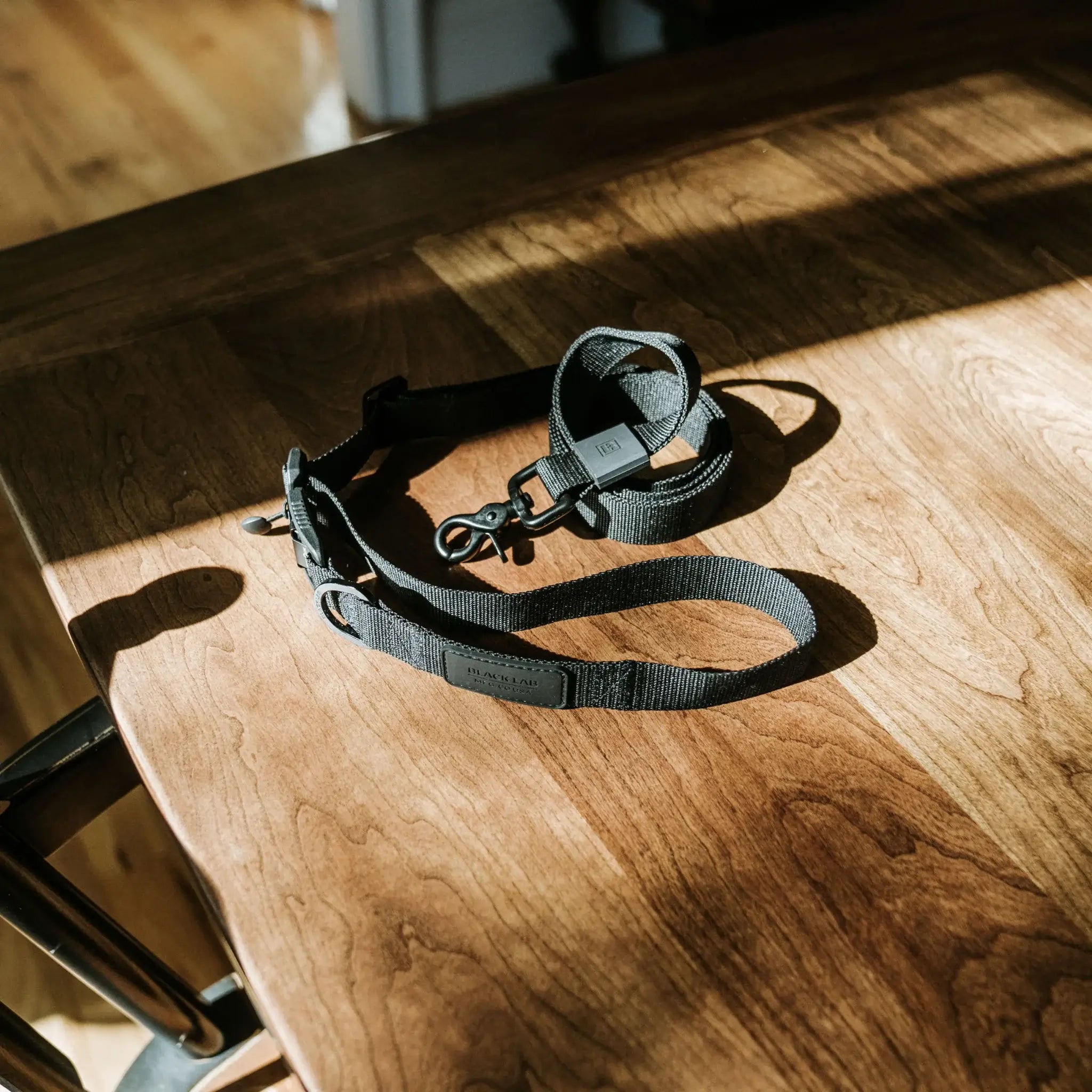 Magnetic Leash hands-free leash set