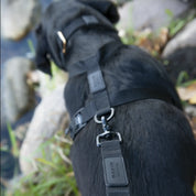 Black Lab Brands Magnetic Ultralight Dog Harness connection point
