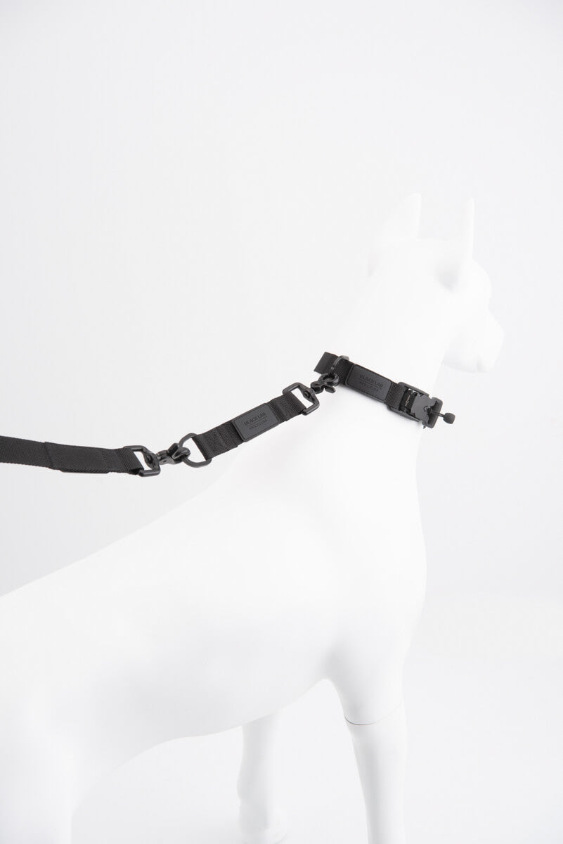 Magnetic Collar and Tab Leash back