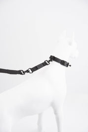 Magnetic Collar and Tab Leash back