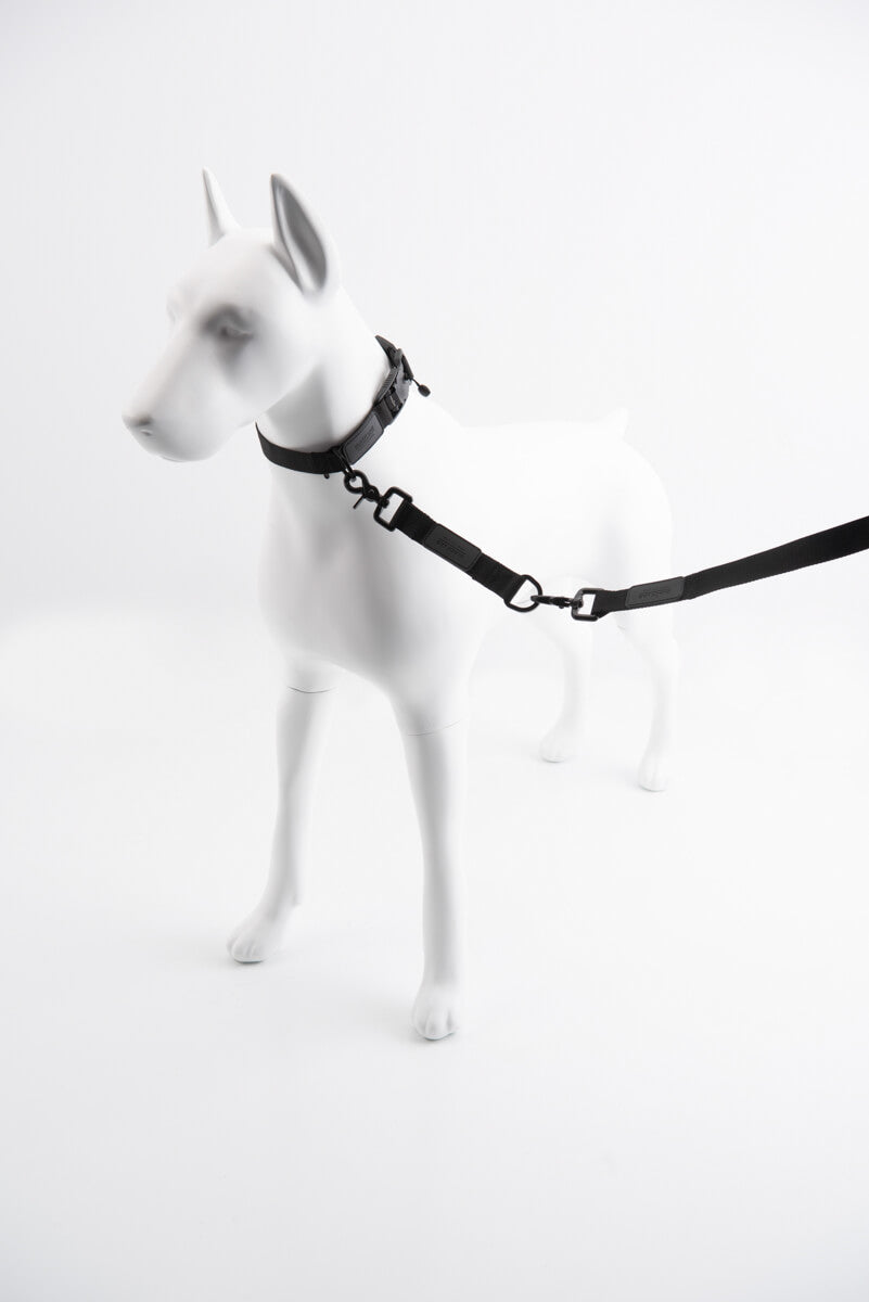 Black Lab Brands Magnetic Collar and Tab Leash