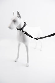 Black Lab Brands Magnetic Collar and Tab Leash