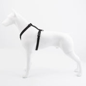 Black Lab Brands Magnetic Ultralight Dog Harness