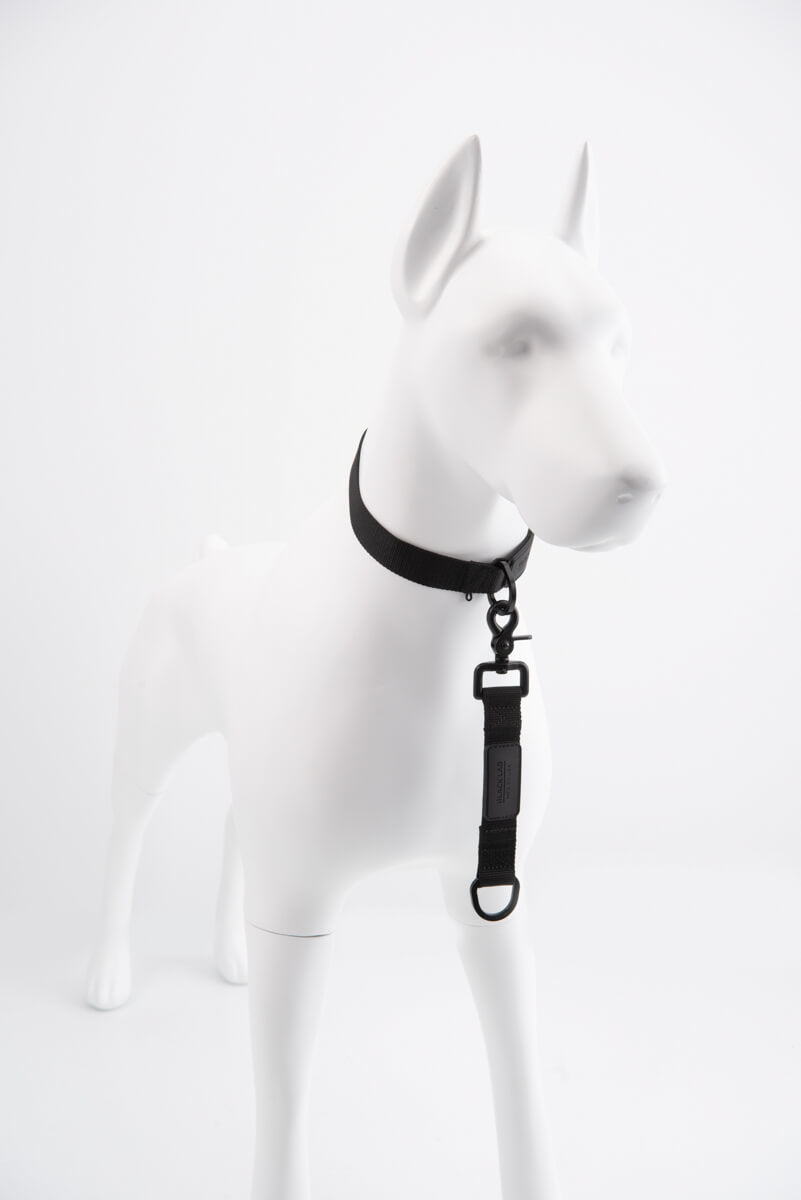 Black Lab Brands Front of the Tab Leash