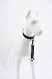 Black Lab Brands Front of the Tab Leash
