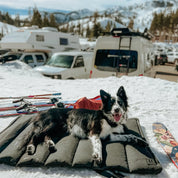 Trailblazer Travel Dog Bed Skiing