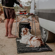 Trailblazer Travel Dog Bed Van Life