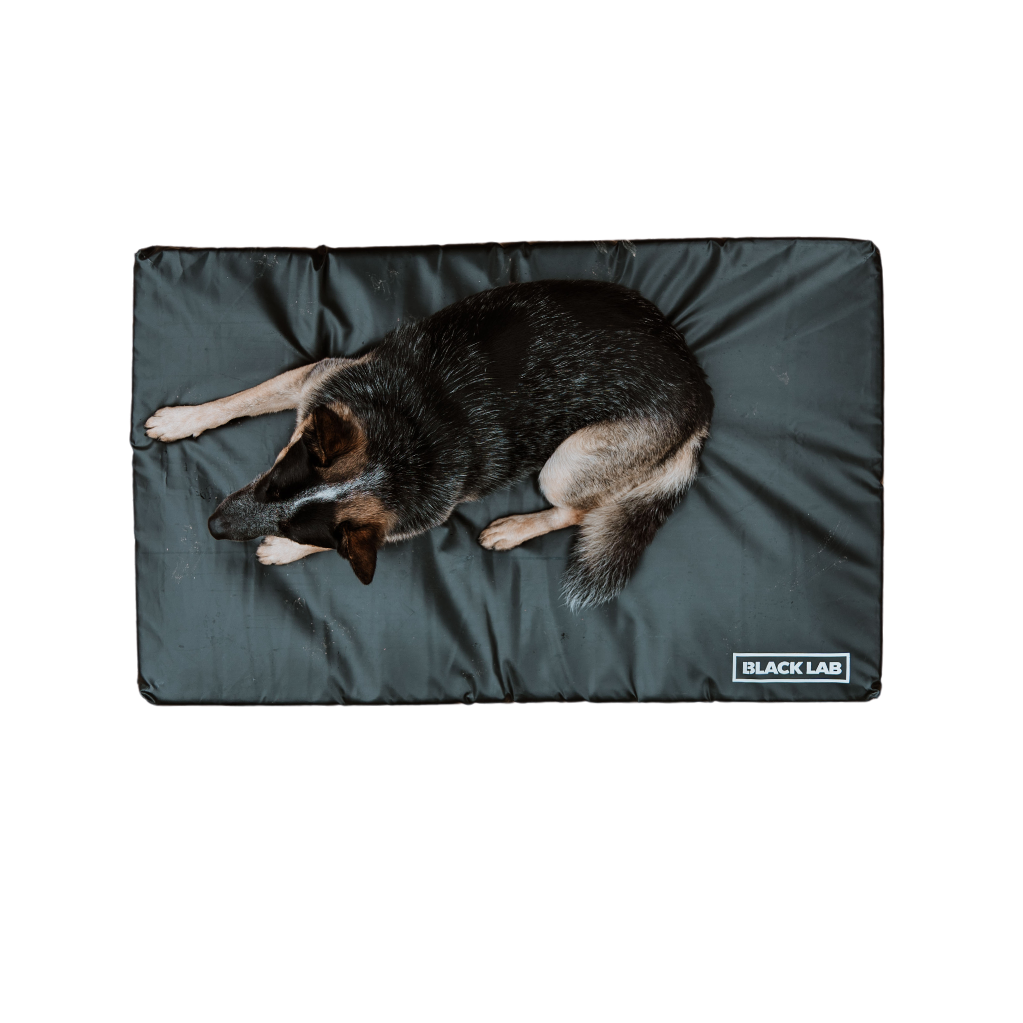 Fused Core Water Poof Dog Bed