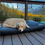 Fused core dog bed outside all-weather