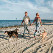 Ultralight Hands-Free Leash