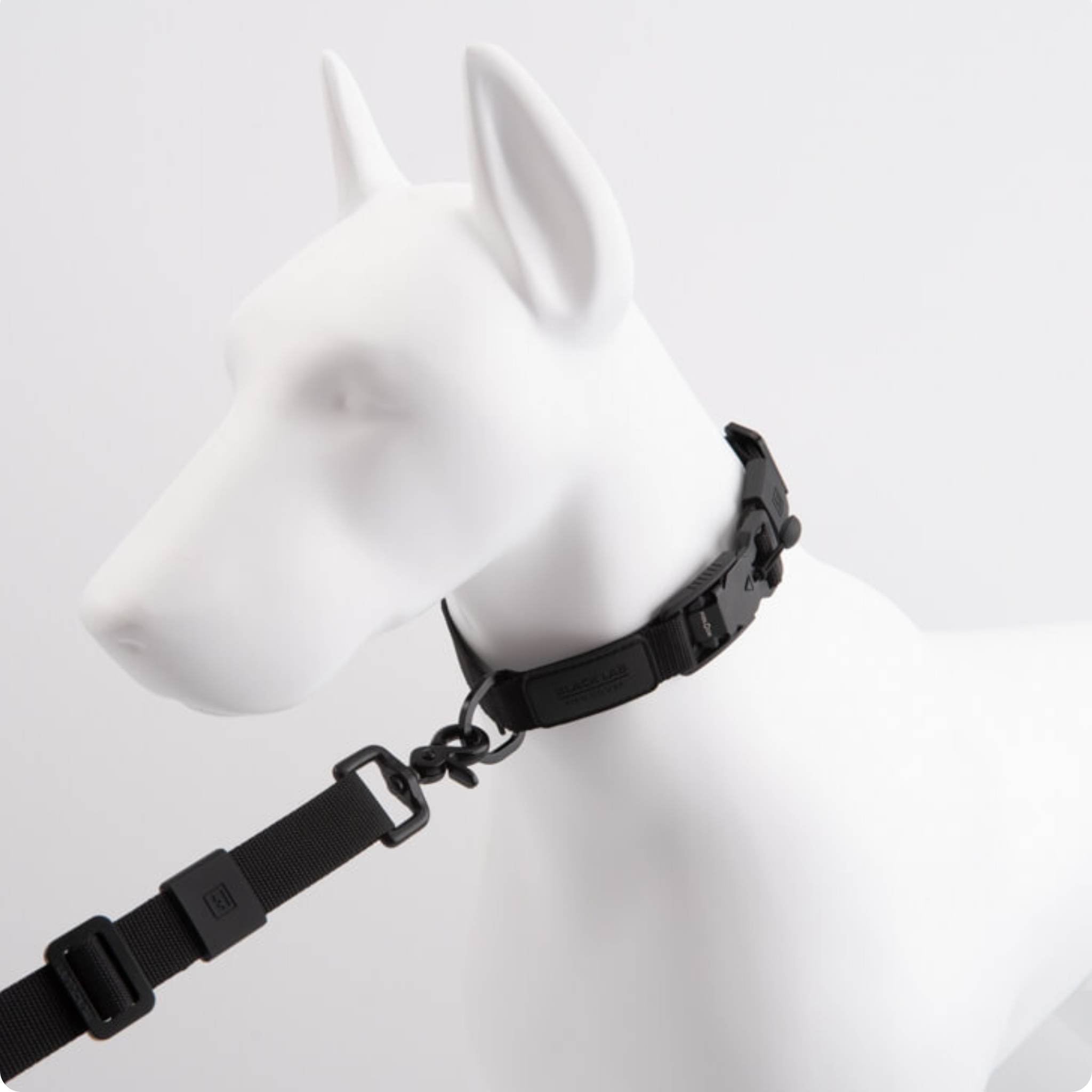 Fidlock buckle magnetic dog collar dog leash connection