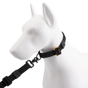 Black Lab Brands Ultralight Dog Collar leash connector