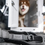 Black Lab Brands woven bungee dog leash with dog