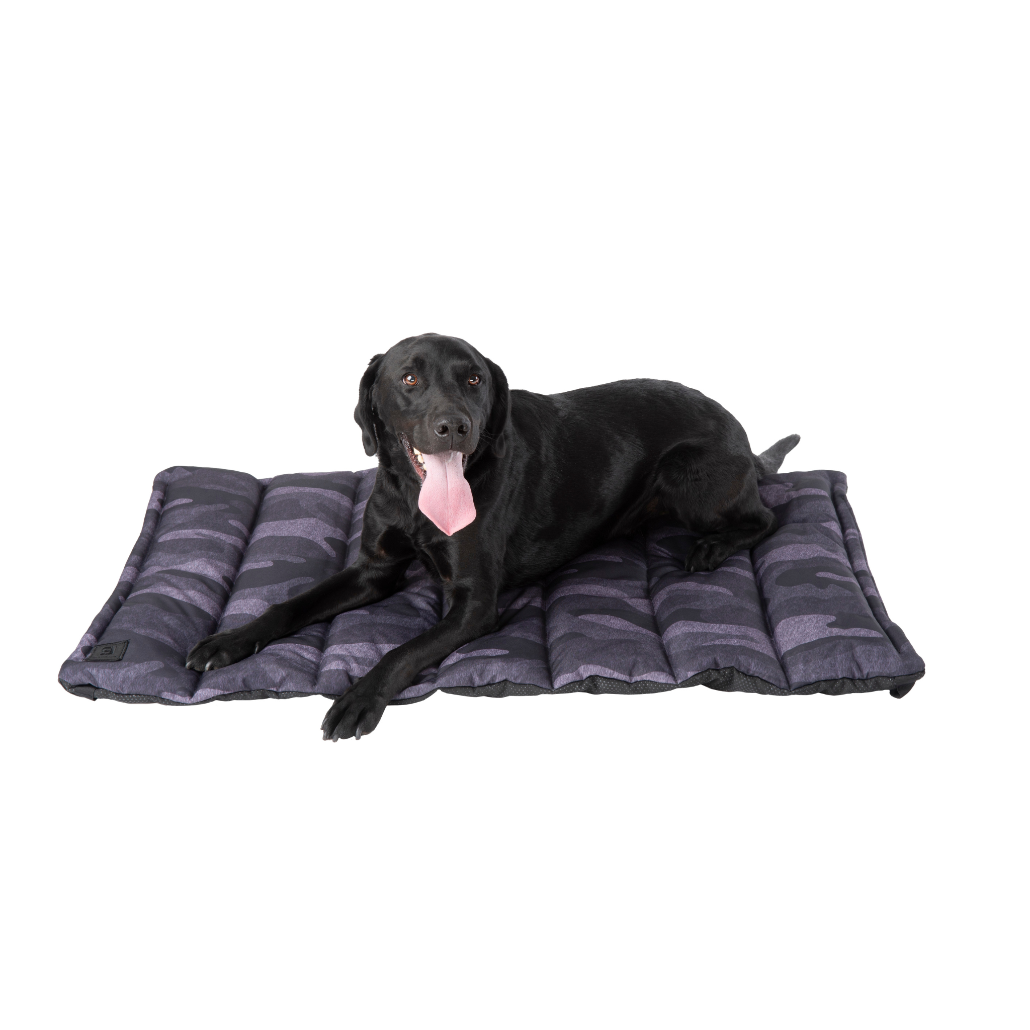 Tough Travel Dog Bed Black Lab Brands