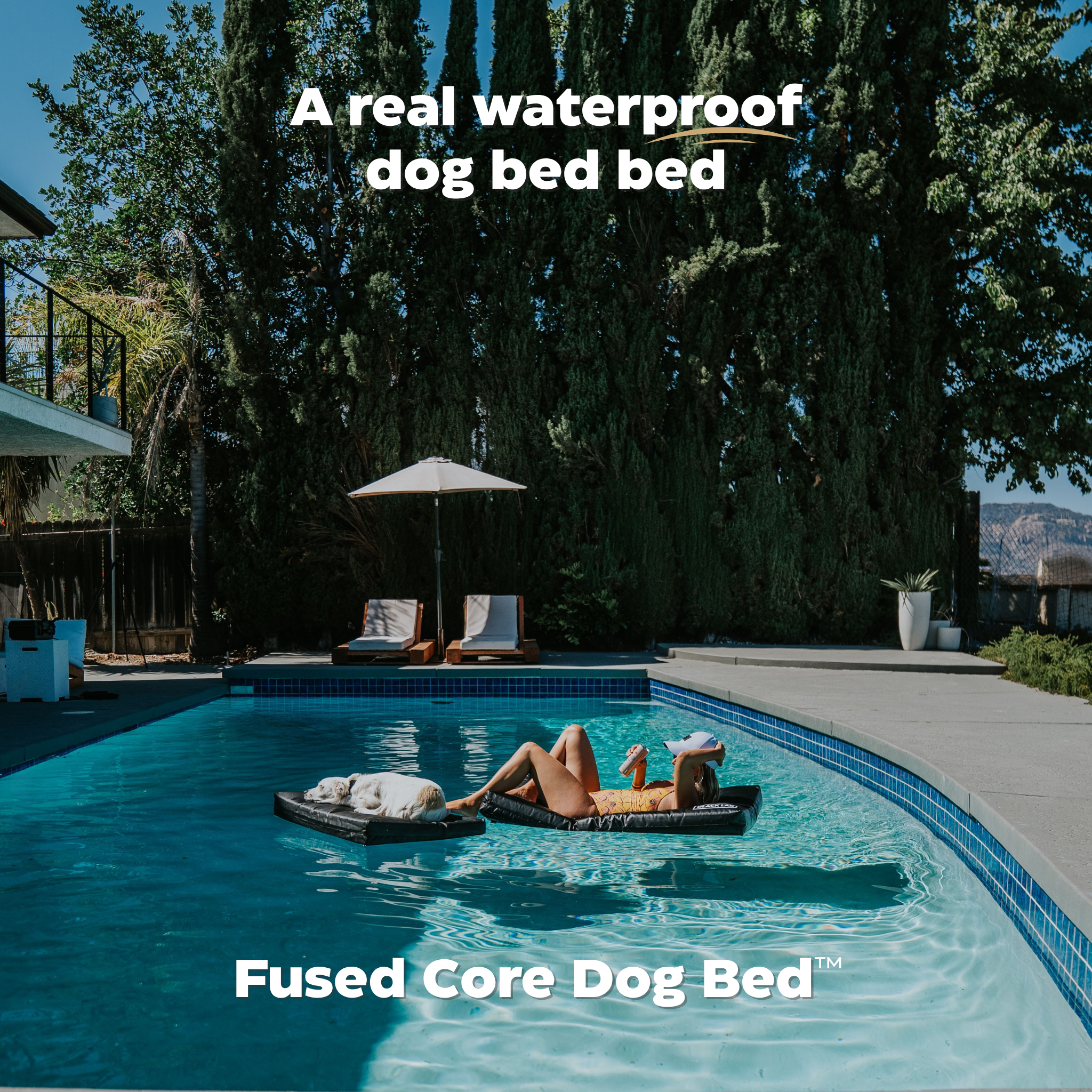 Dog lying on a floating dog bed in a pool with text about a waterproof dog bed.