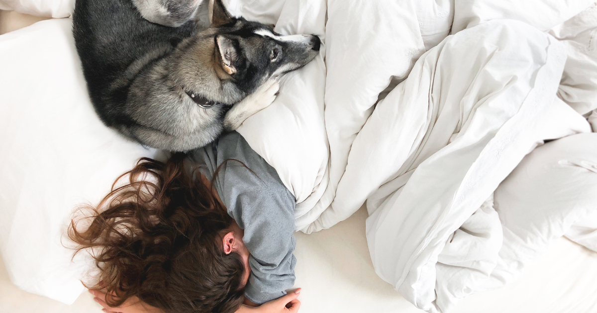 Sleeping With Your Pup: Is It Clean, Safe, and Cozy?