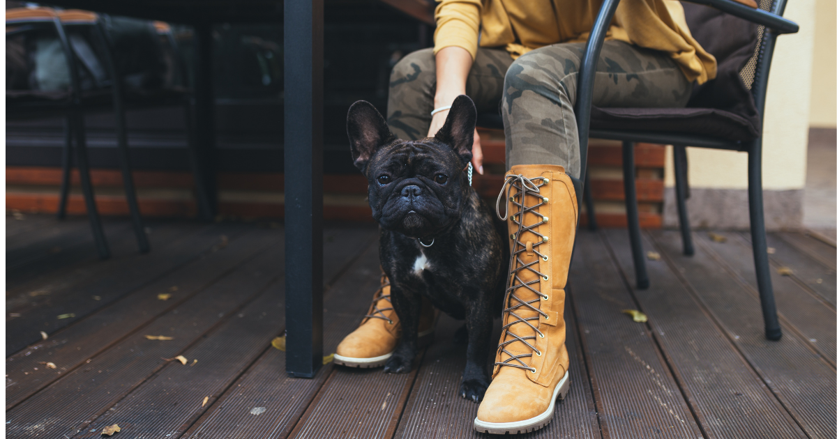 Dog-Friendly restaurants or bars in Minneapolis