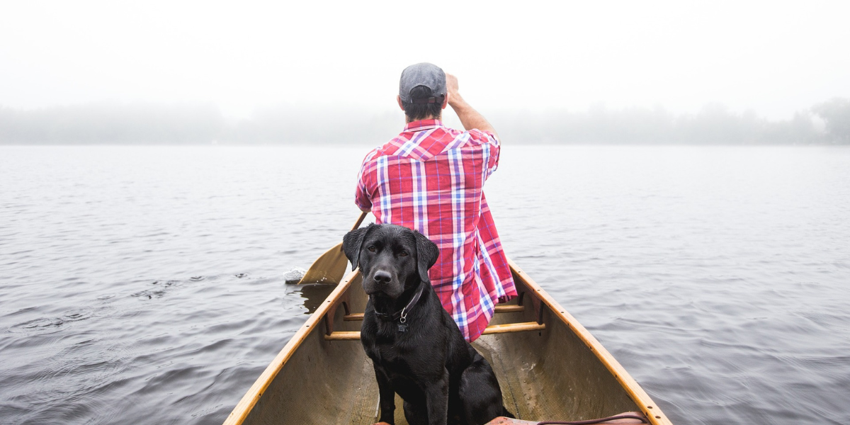 The Journey to Comfort: The Evolution of Dog Beds to the Black Lab Bed of Today