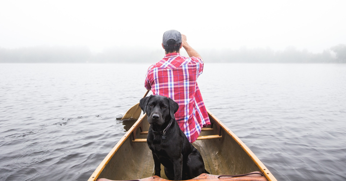 The Journey to Comfort: The Evolution of Dog Beds to the Black Lab Bed of Today