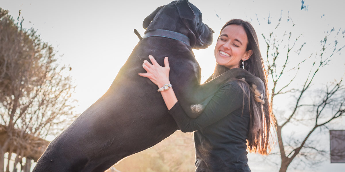 Tips on How to Stop Your Dog From Jumping Up On People