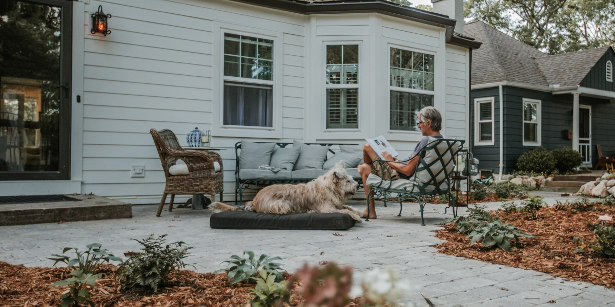 Unveiling the Magic: StayFresh Treated Dog Beds for Ultimate Canine Comfort