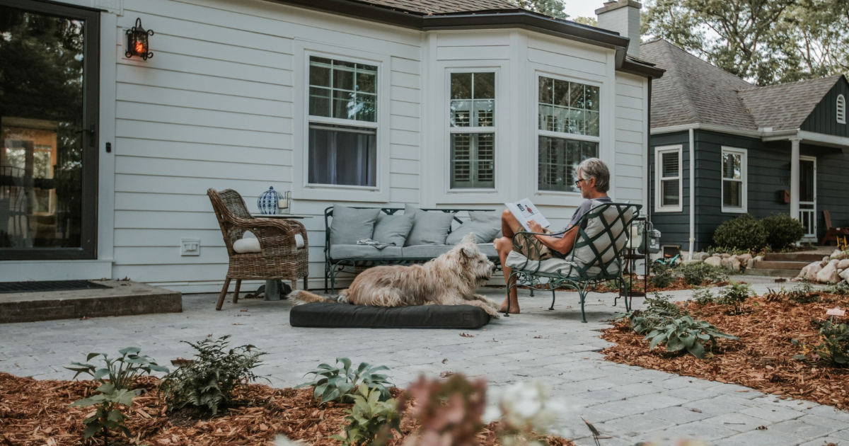 Unveiling the Magic: StayFresh Treated Dog Beds for Ultimate Canine Comfort