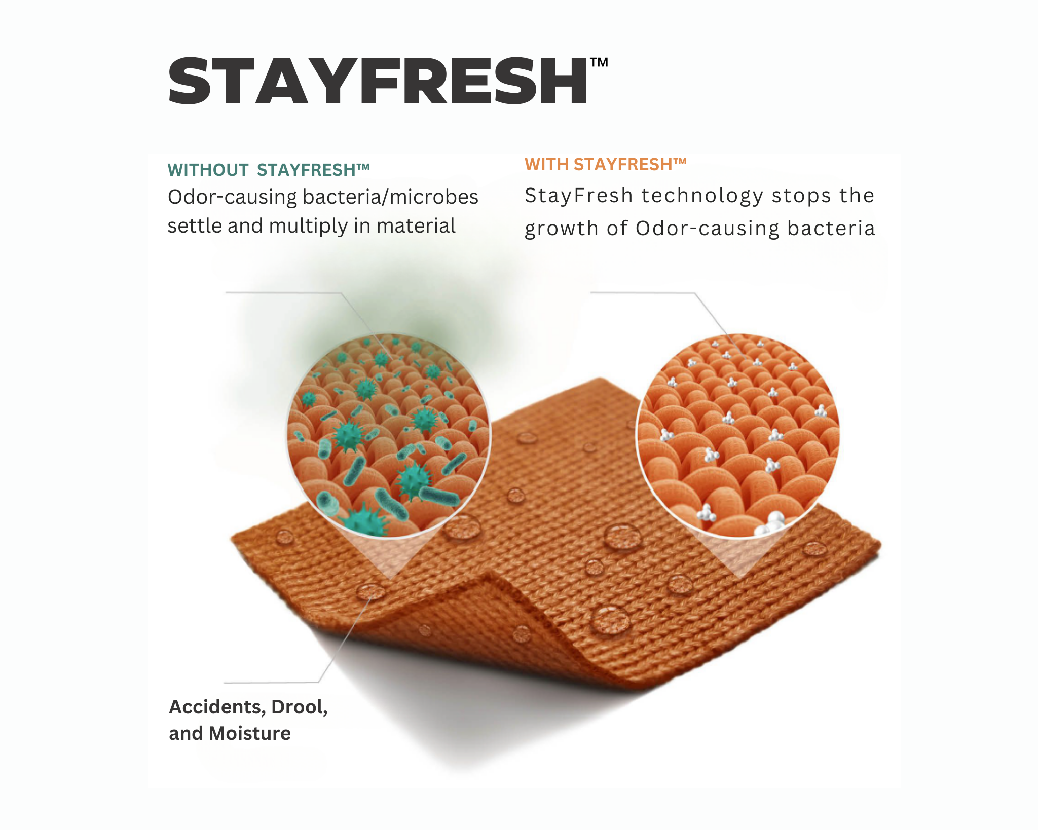 Polygiene StayFresh™: The Bedding Innovation That's Changing the Way We Sleep