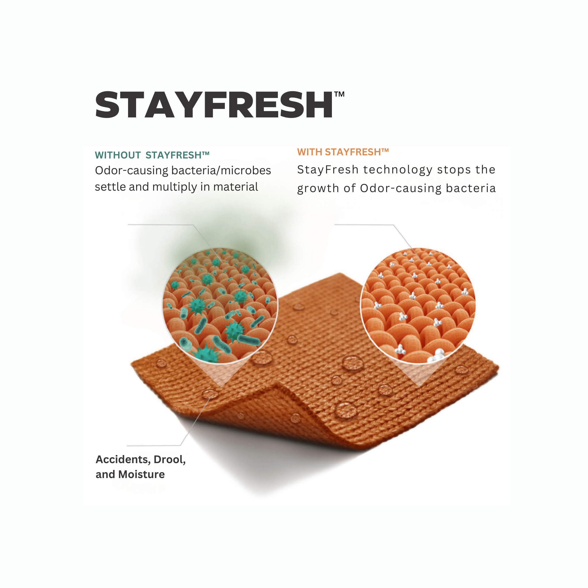 Polygiene StayFresh™: The Bedding Innovation That's Changing the Way We Sleep