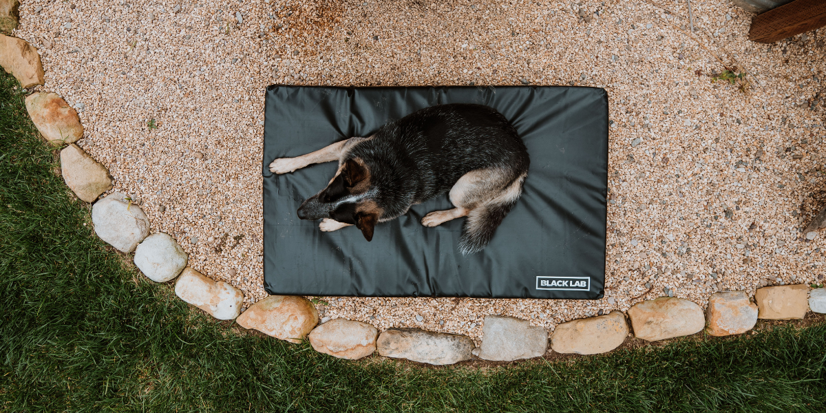 water proof Fused Core Dog bed on gravel outside