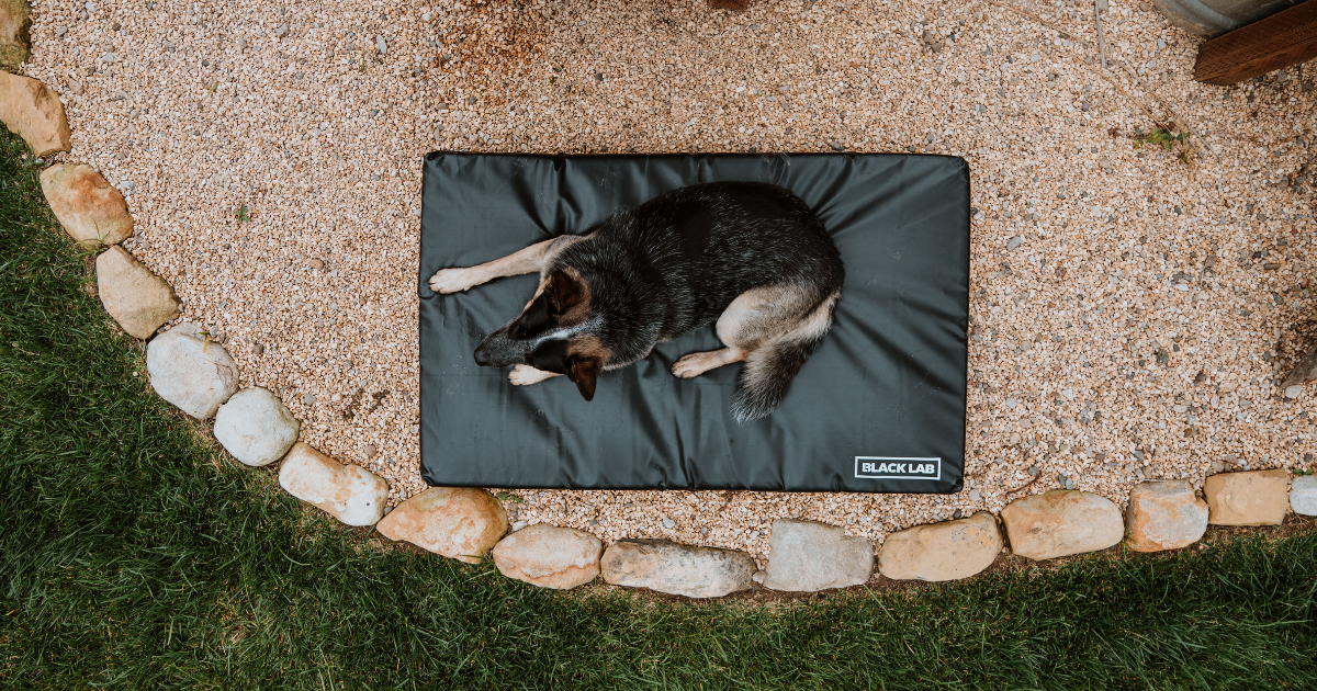 water proof Fused Core Dog bed on gravel outside