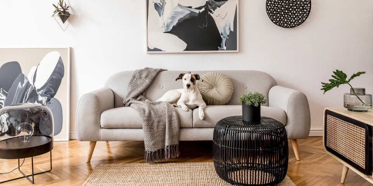 Tips on How to Protect Furniture From Dogs