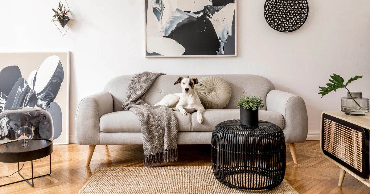 Tips on How to Protect Furniture From Dogs