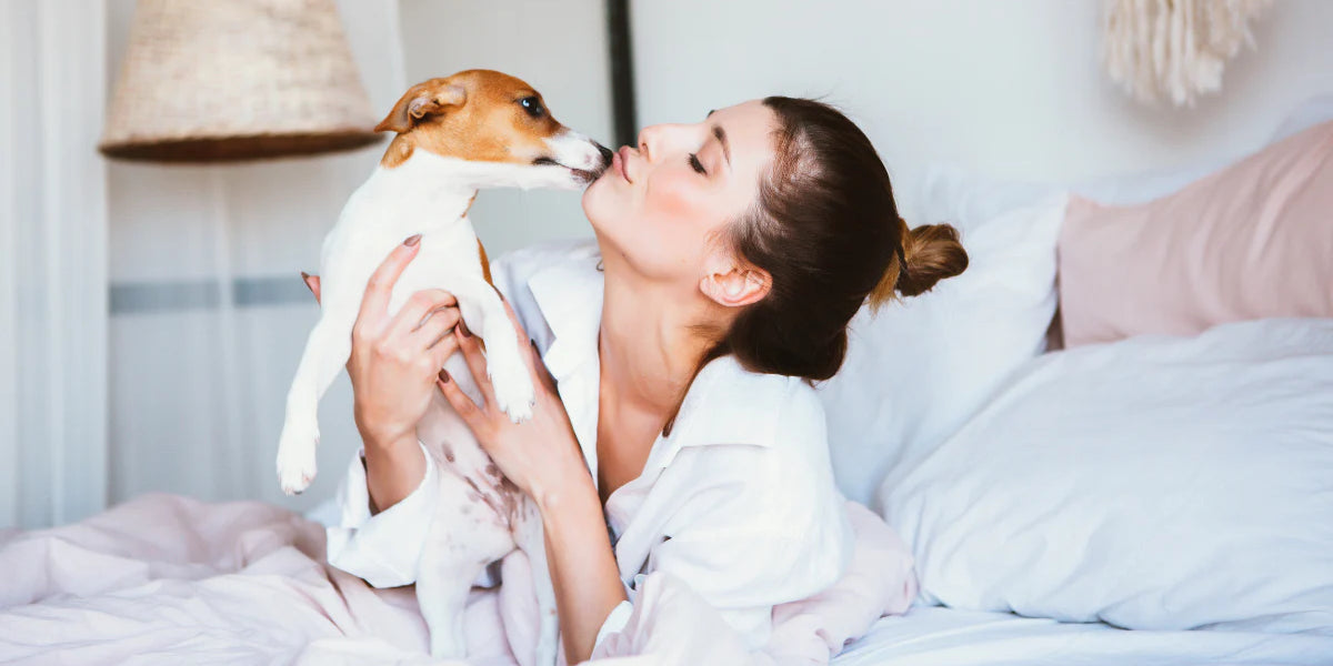 Woman and dog in a bed with StayFresh Pet-friendly bedding