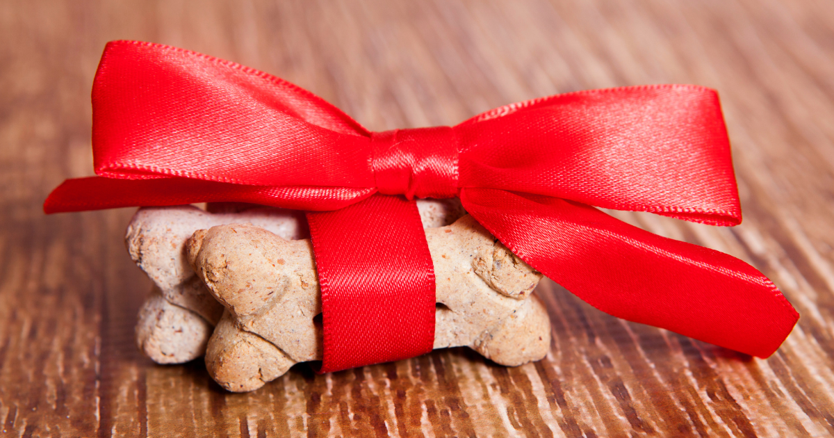 Holiday dog treat