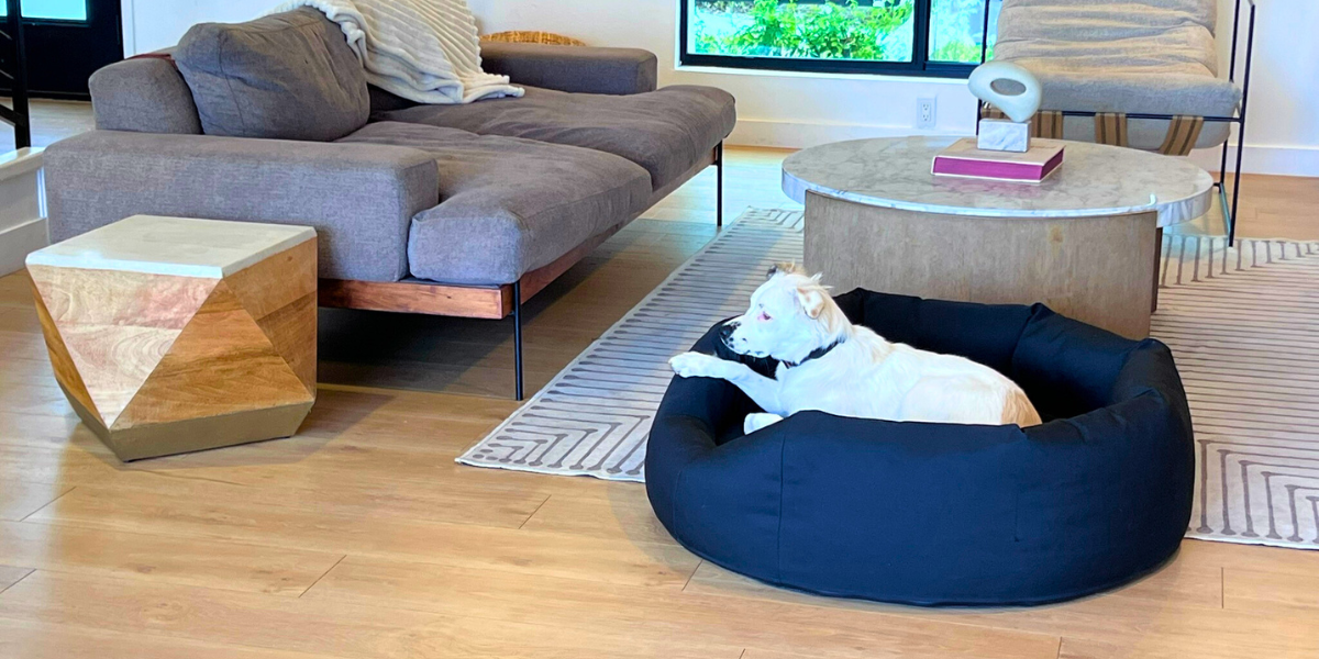 Why We Refuse to Choose Between Strength and Style: The Black Lab Brands Difference