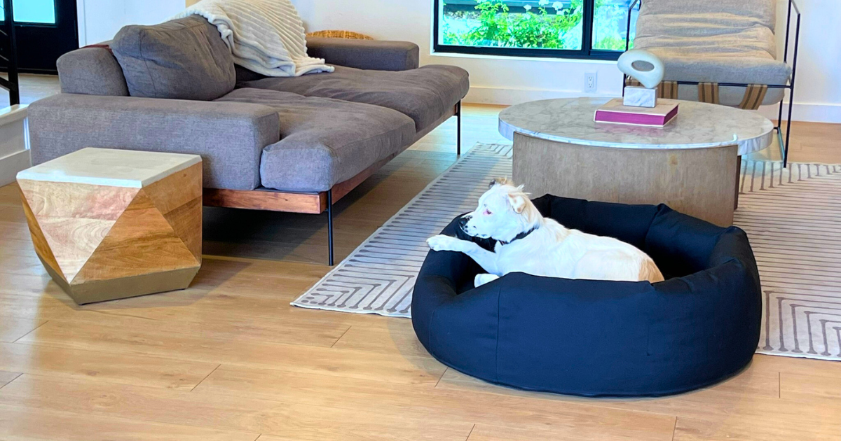 Why We Refuse to Choose Between Strength and Style: The Black Lab Brands Difference