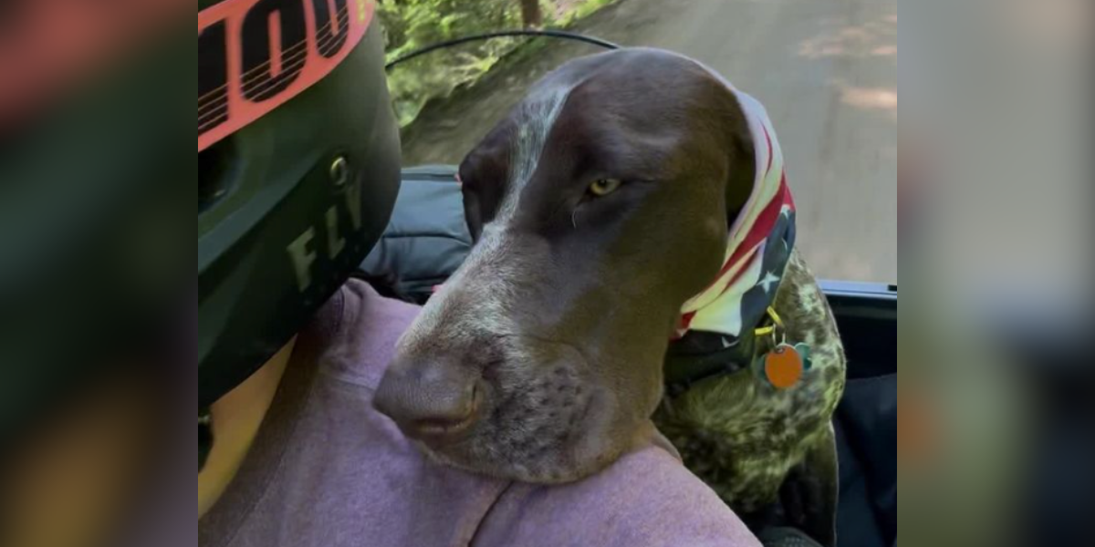 Black Lab: Be Loyal™ Program