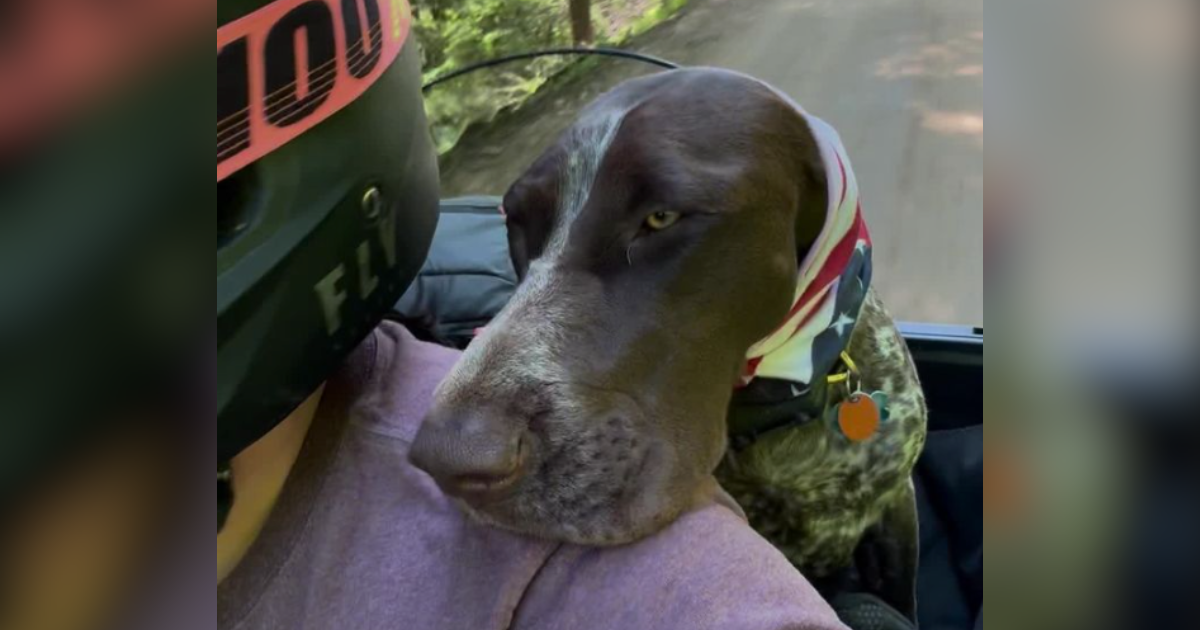 Black Lab: Be Loyal™ Program