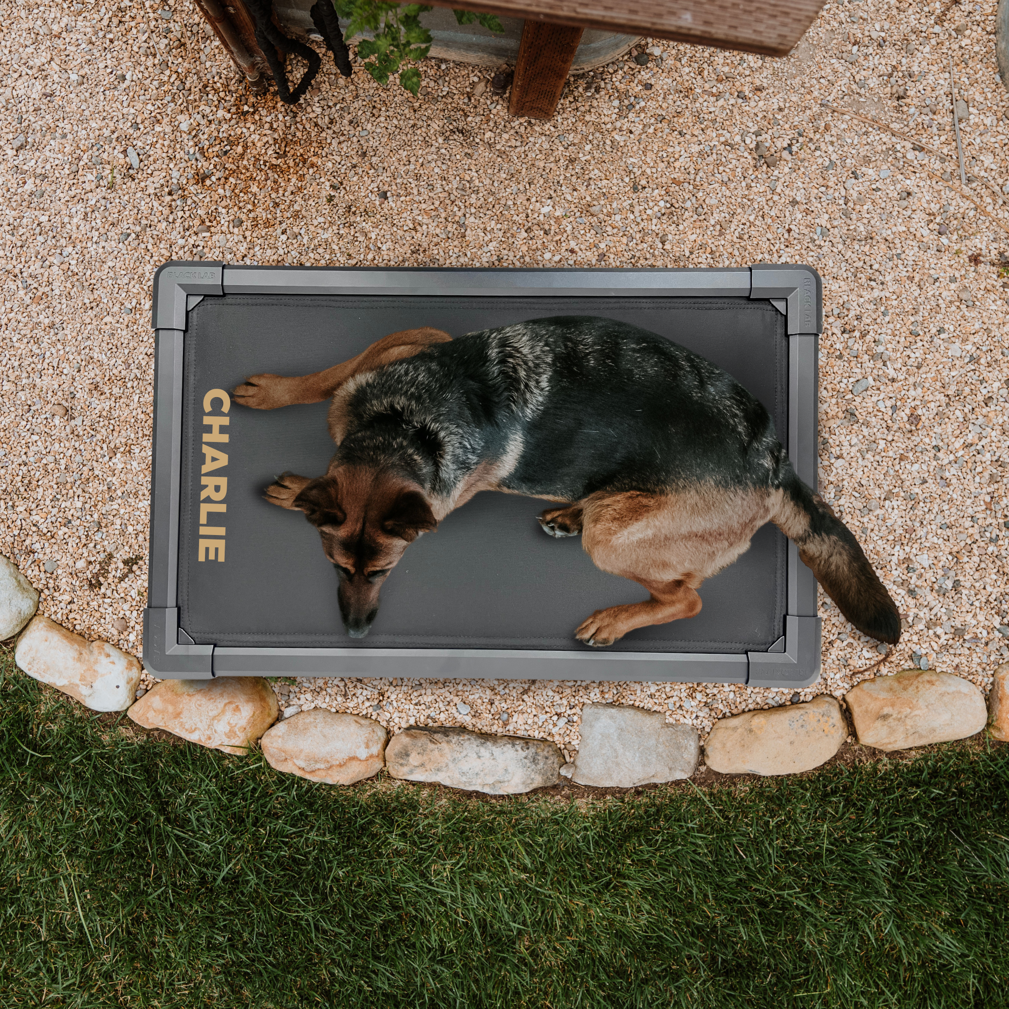 Chew Proof Dog Beds