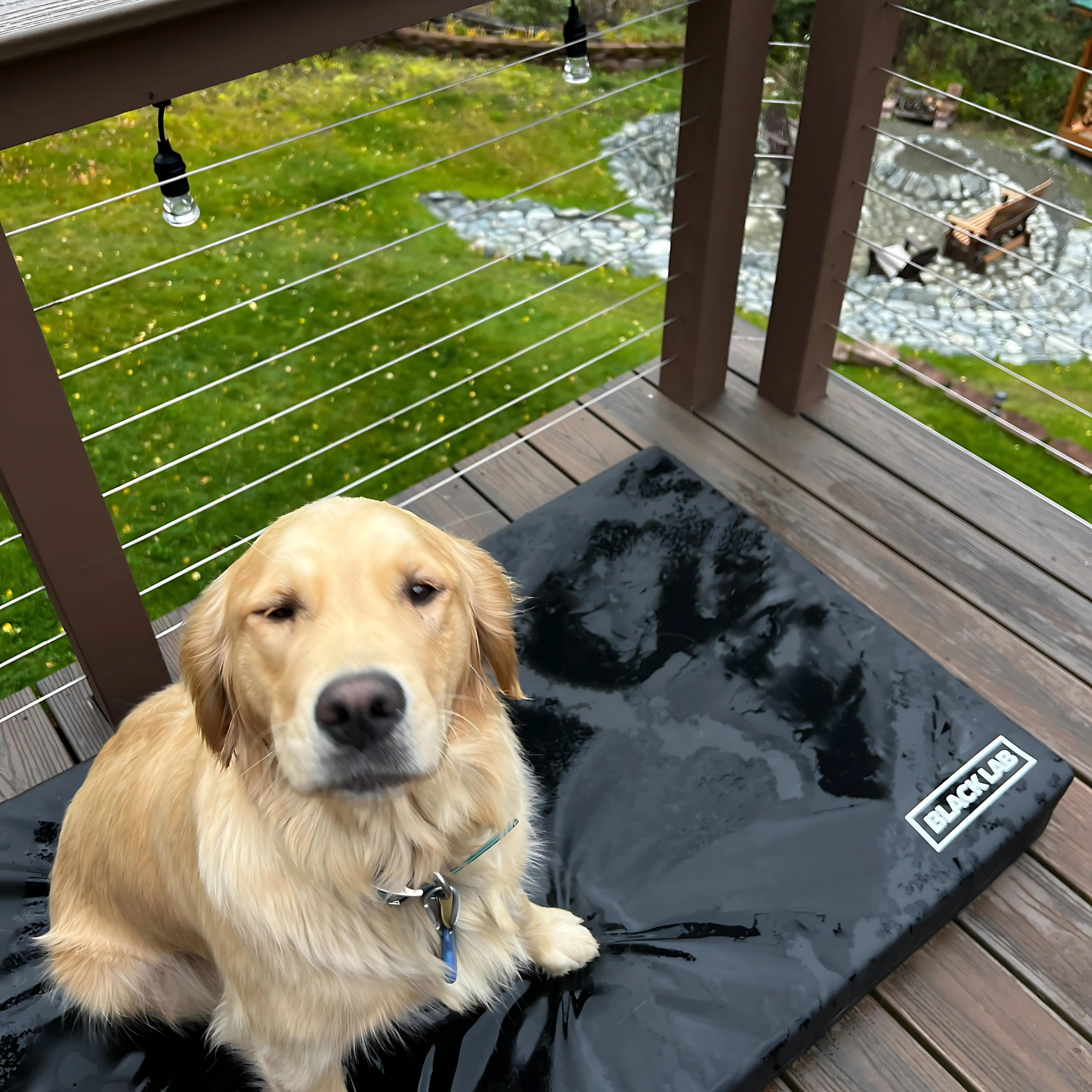 FUSED CORE™ UltraTough Utility Dog Bed