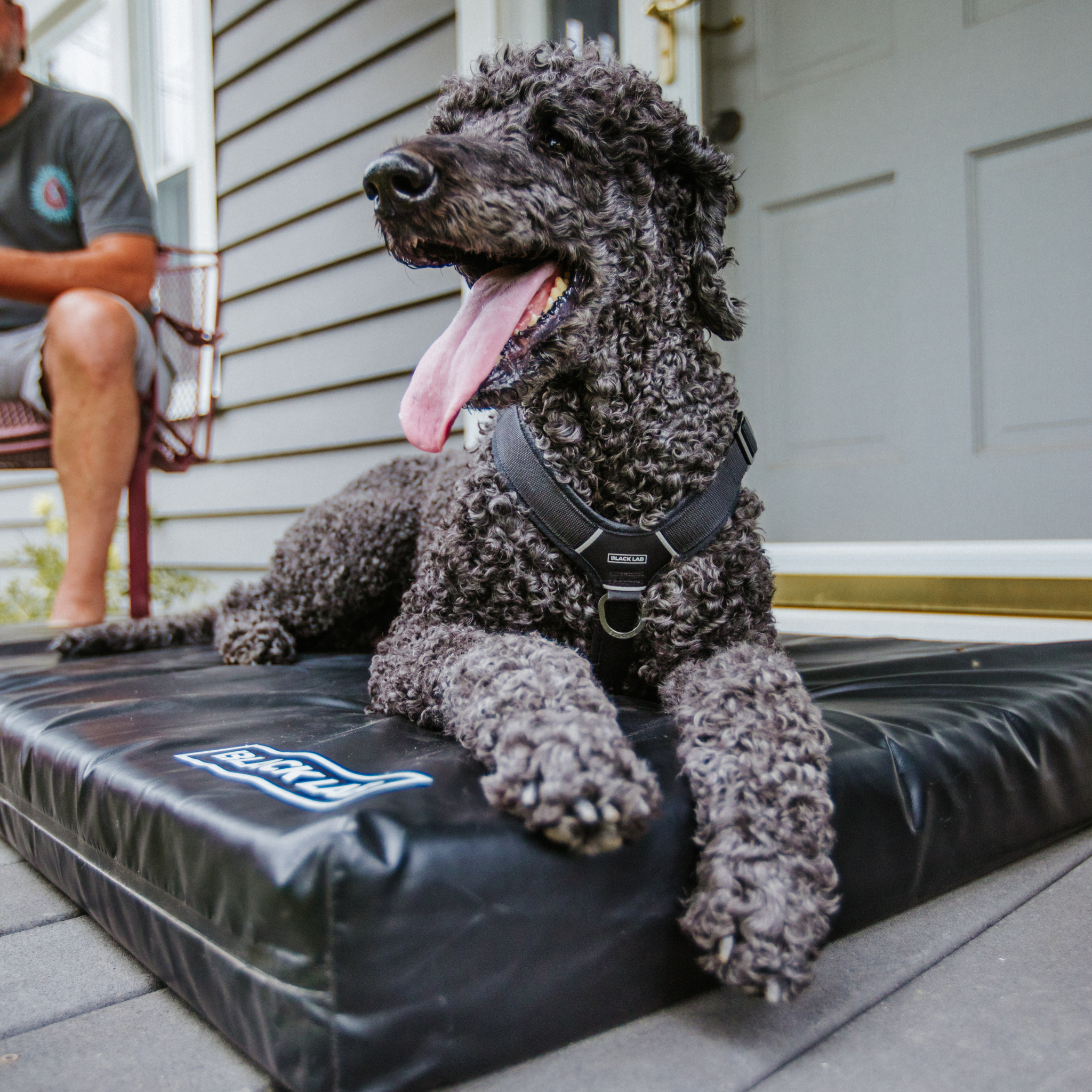 FUSED CORE™ UltraTough Utility Dog Bed